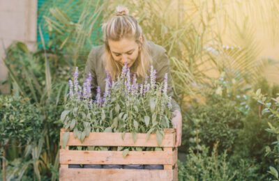 GLI INFINITI UTILIZZI DELLE PIANTE AROMATICHE