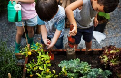 GIARDINAGGIO ALLA PORTATA DI TUTTI – PIANTARE E TRAPIANTARE